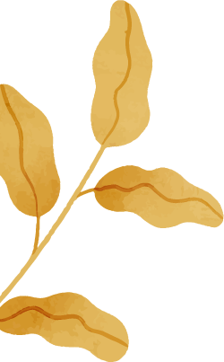 Upper-left decorative element