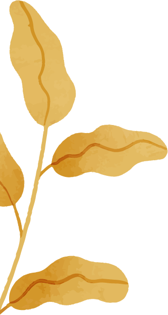Lower left decorative element