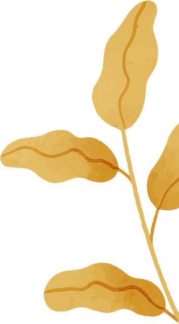 Right decorative element