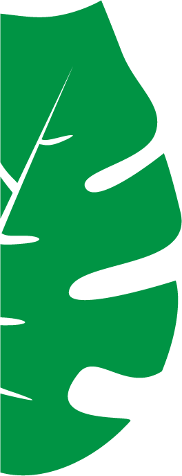 Left decorative element