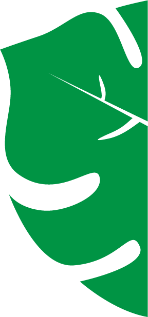 Right decorative element