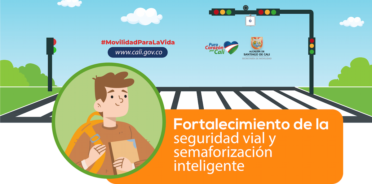 Seguridad vial