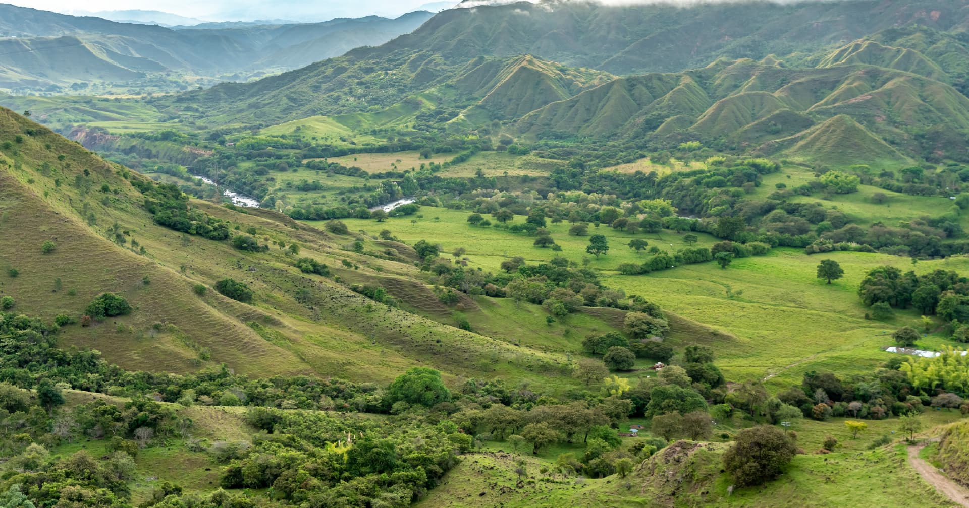 Conservación de los ecosistemas