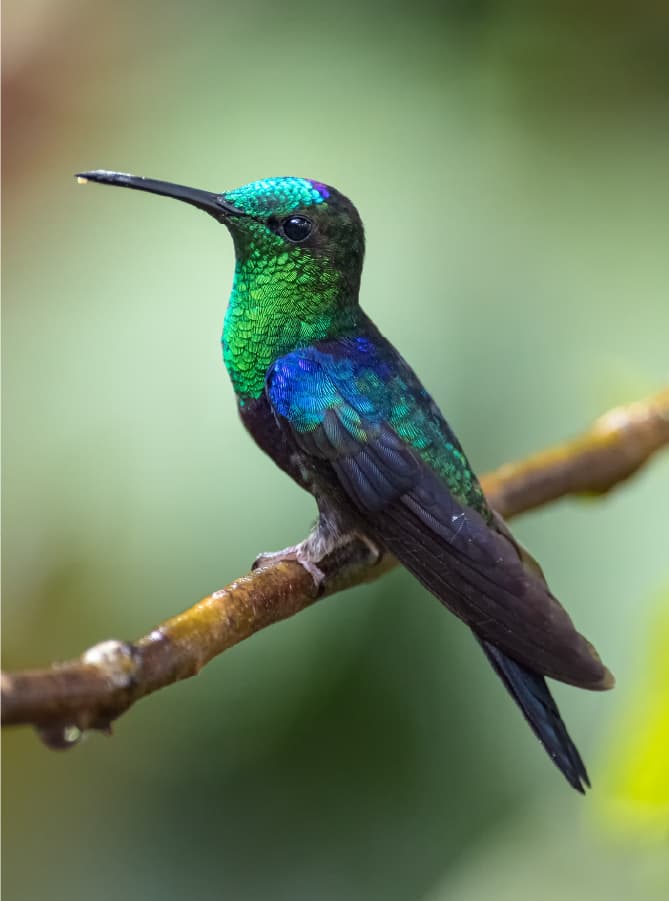 Image of the ecosystem conservation project