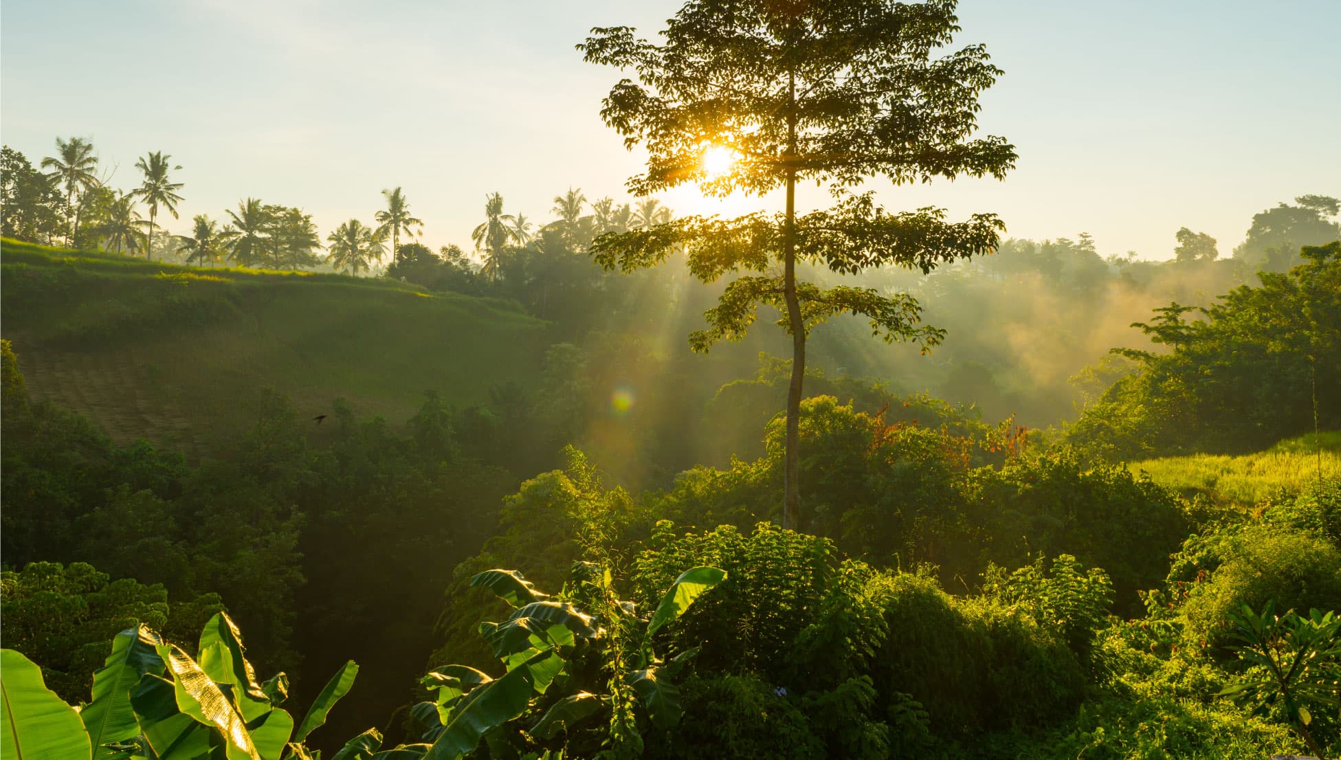 Educación ambiental y equidad de género